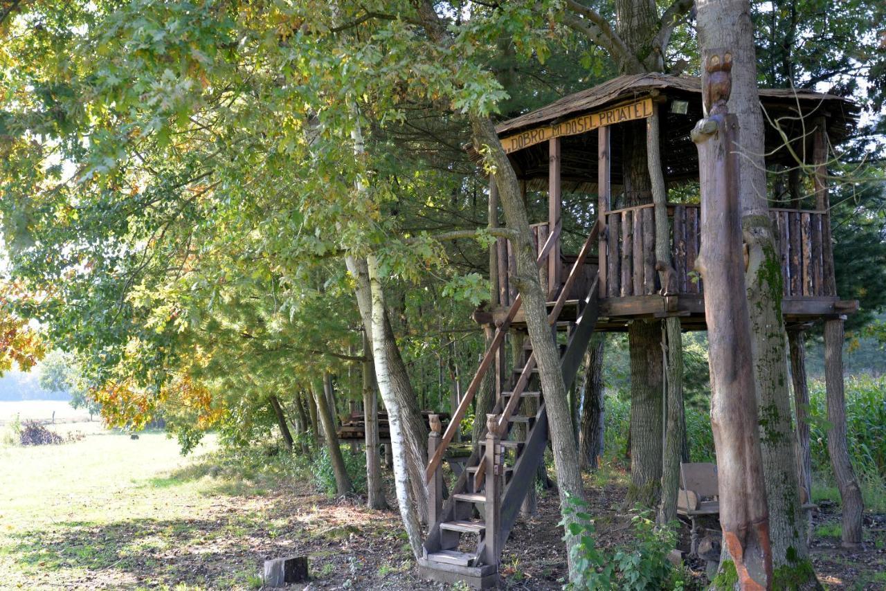 Old Oak House With Pool Villa Máriasócszentgyörgy Kültér fotó