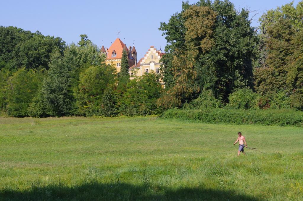 Old Oak House With Pool Villa Máriasócszentgyörgy Kültér fotó