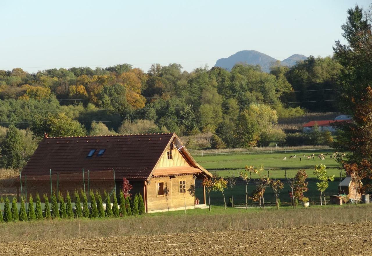 Old Oak House With Pool Villa Máriasócszentgyörgy Kültér fotó