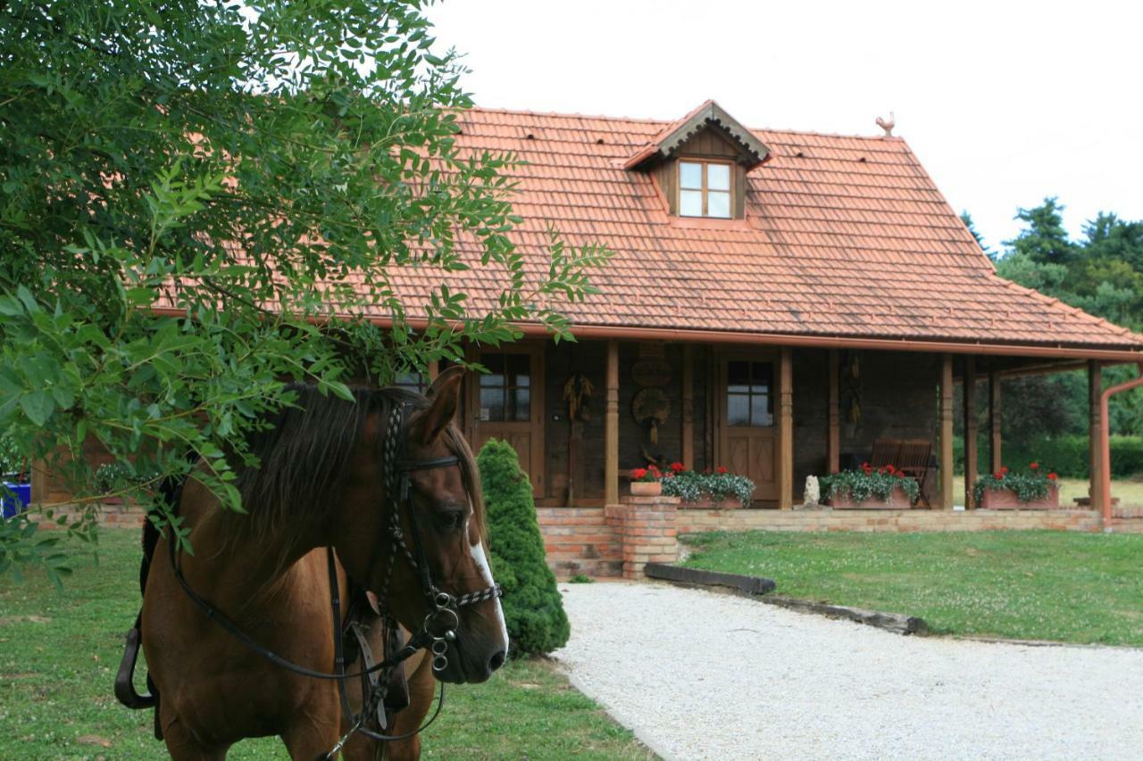 Old Oak House With Pool Villa Máriasócszentgyörgy Kültér fotó